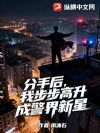 分手后,我步步高升成警界新星